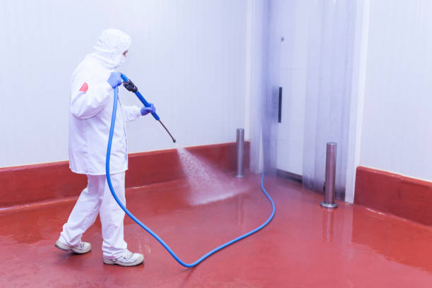 Best Pre-Holiday Cleaning  in Grizzly Flats, CA